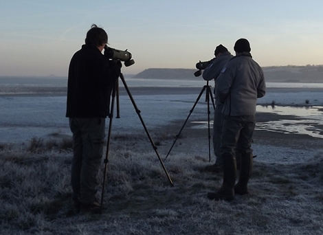 Comptage ornithologique RNN Baie de Saint-Brieuc