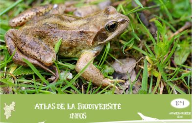 Atlas de la biodiversité infos