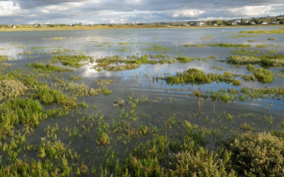 Perception et représentation de la Réserve naturelle de la baie de Saint-Brieuc