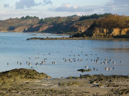 Dernier comptage sur la Réserve naturelle