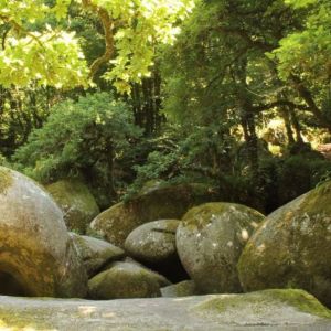 Journée nature à Trémargat