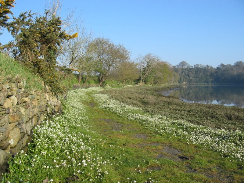 Bocage et estuaire du Bizien