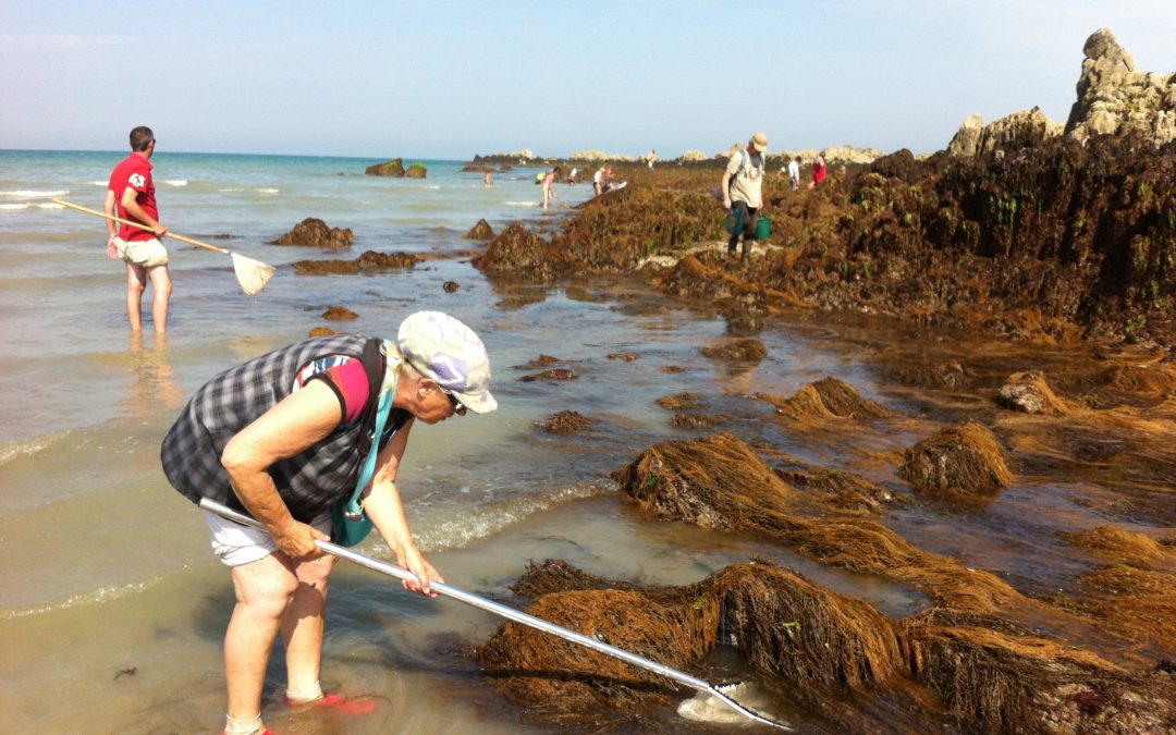 Sensibilisation et enquête auprès des pêcheurs à pied à Martin-Plage