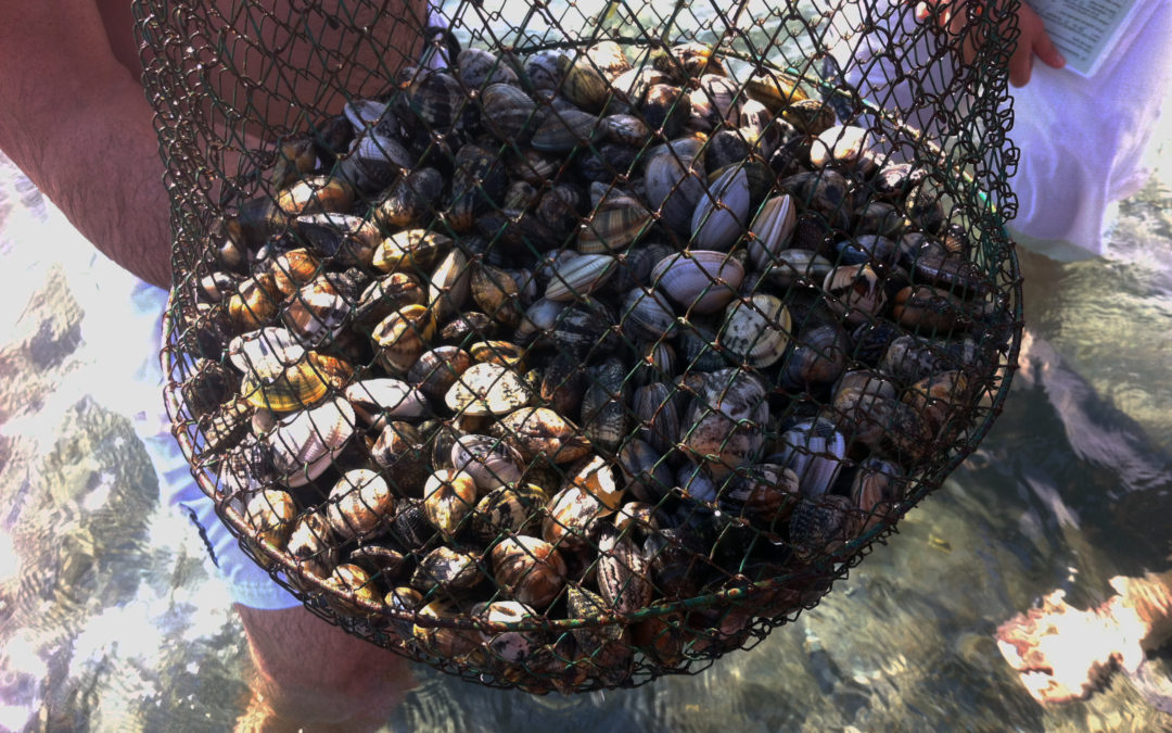 Pêche à pied : VivArmor Nature forme les gestionnaires de l’étang de Berre