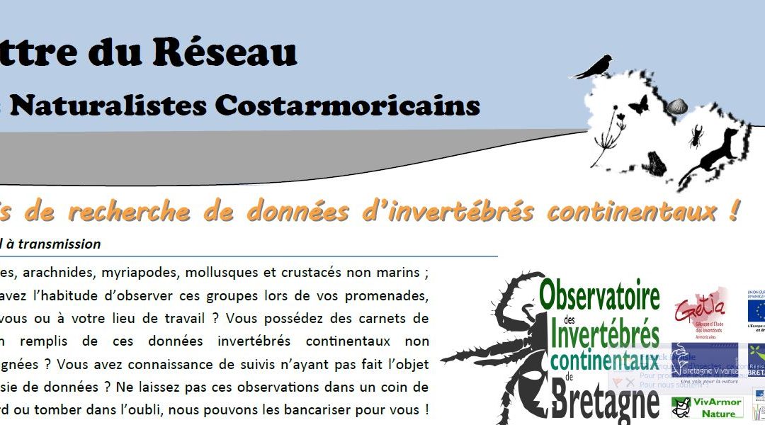 La lettre du réseau de Mai est en ligne !