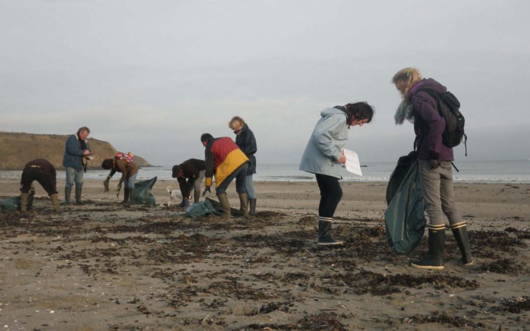 Nettoyage de plages en baie de Saint-Brieuc