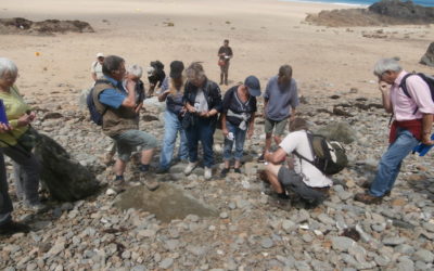 Sortie Géologie : l’Est de la baie de St-Brieuc