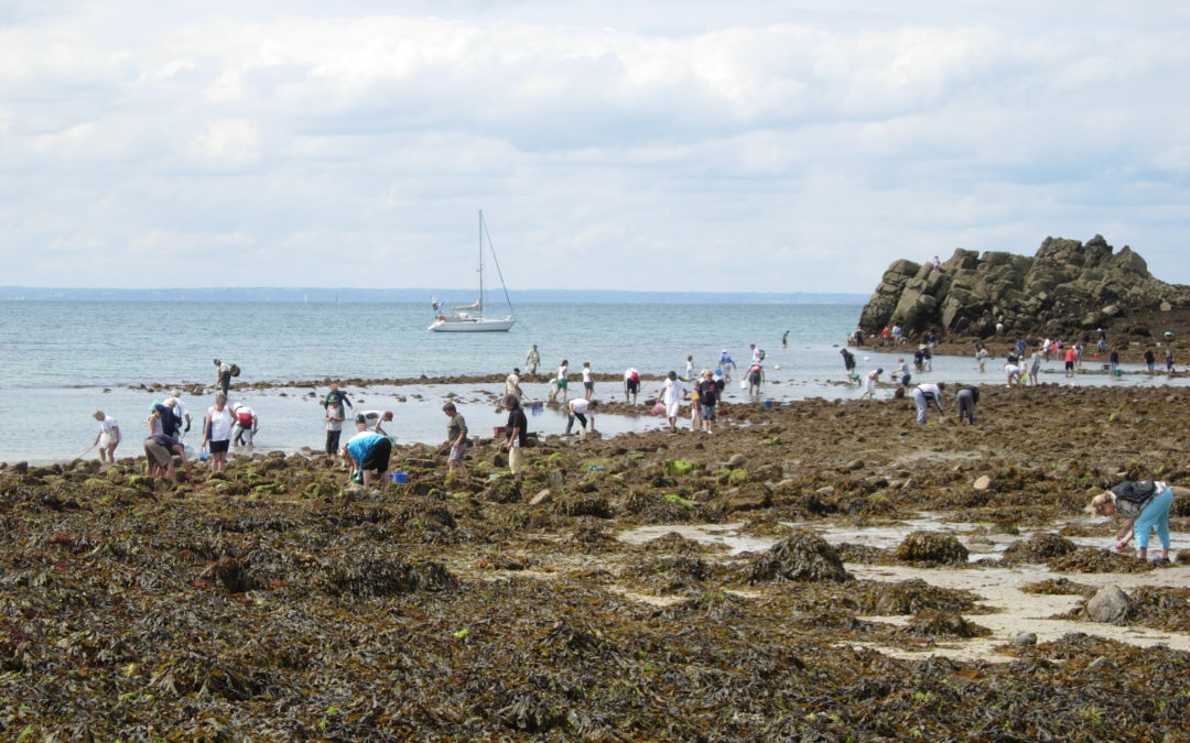 Comptage national des pêcheurs à pied
