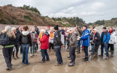 Sortie Géologie : Les formations ordoviciennes