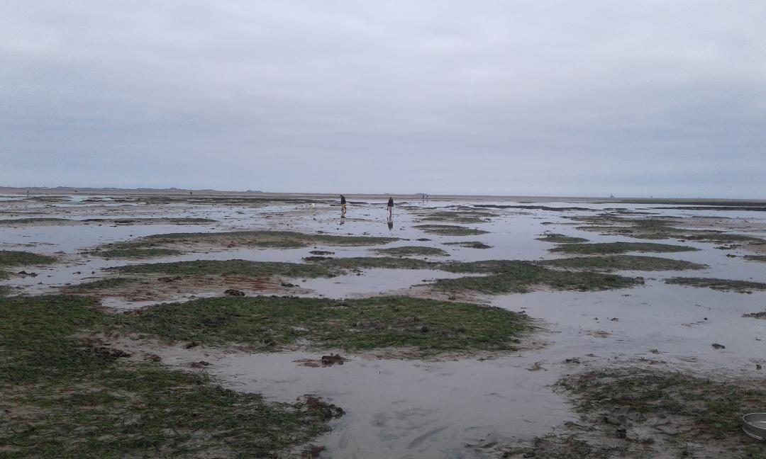 Safari nature aux Rosaires