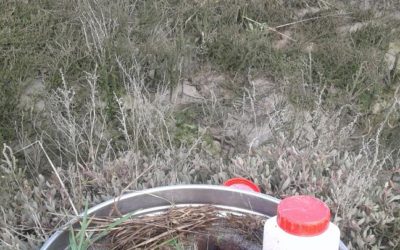 Prélèvements trophiques en intertidal #Restroph