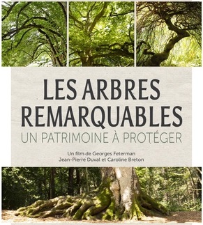 Les arbres remarquables