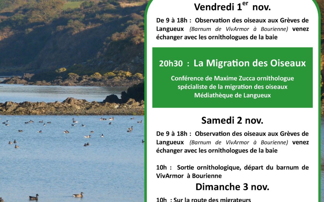 Fête des Oiseaux migrateurs
