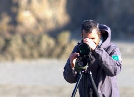 Comptage ornithologique en baie de Saint-Brieuc