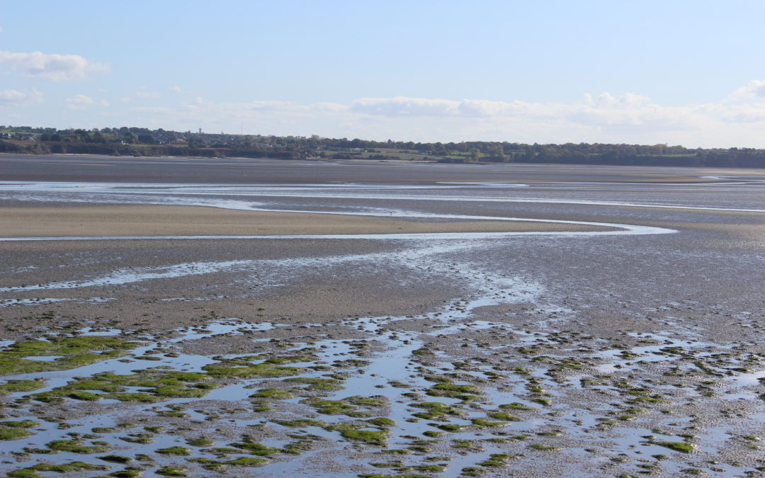 Peut-on jouer avec le sable ?