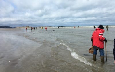 265 pêcheurs à pied sensibilisés lors des grandes marées du 10 au 12 mars 2020