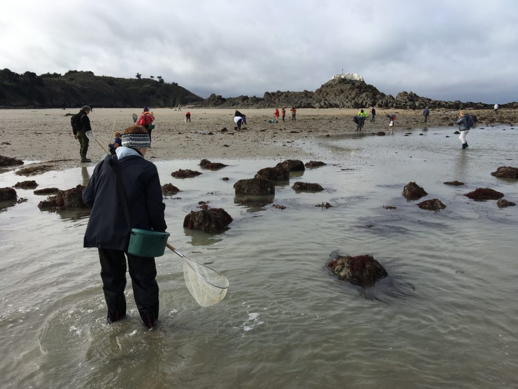 Diagnostic de la pêche à pied