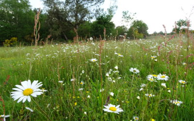 Pour une Politique Agricole, Alimentaire et Climatique bretonne