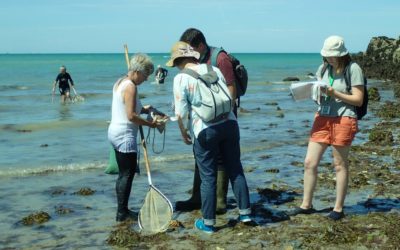 193 pêcheurs à pied sensibilisés lors des grandes marées du 22 au 24 juillet 2020