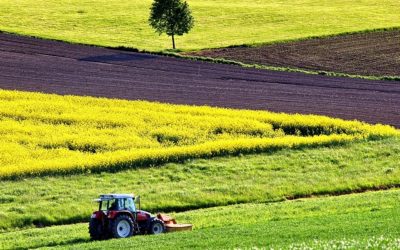 Colère des agriculteurs : ne pas se tromper de cible