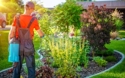 Consultation publique sur l’élargissement de l’interdiction des pesticides en zones non agricoles