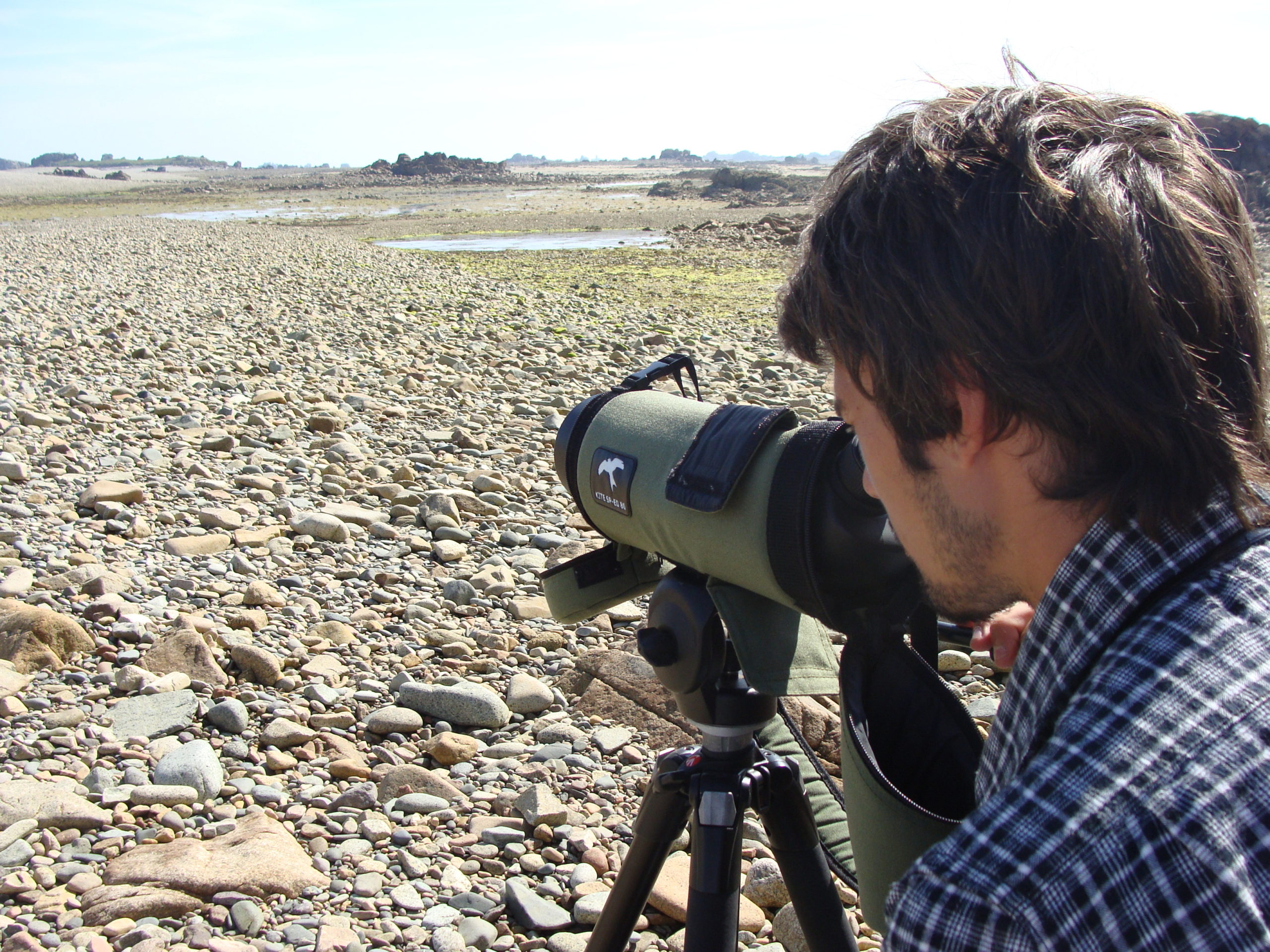 Comptages ornithologiques au Sillon de Talbert