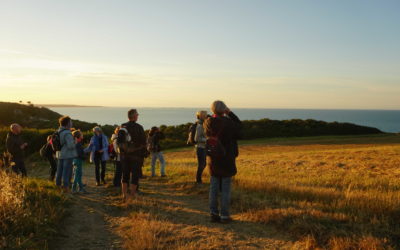 Retour en images sur la sortie à Plérin « La baie au crépuscule : nature et voute céleste »