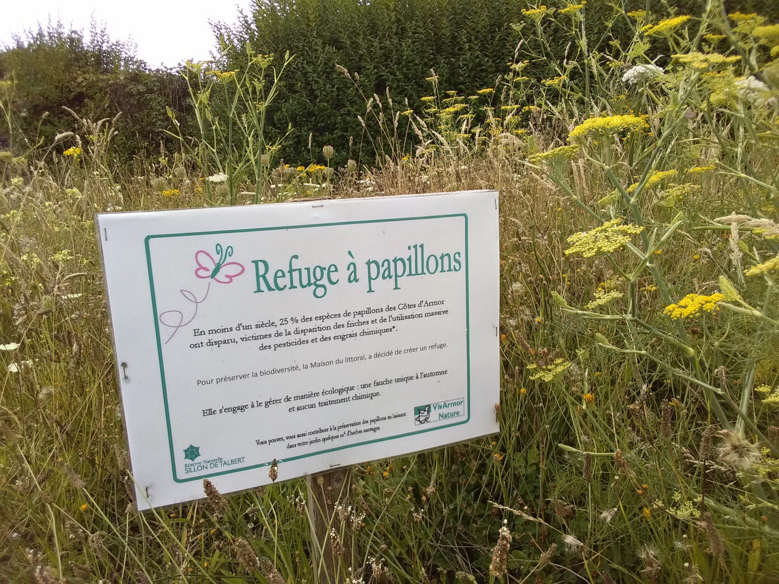 Conférence à Saint-Brieuc "La nature en ville : connaitre, accueillir et cohabiter"