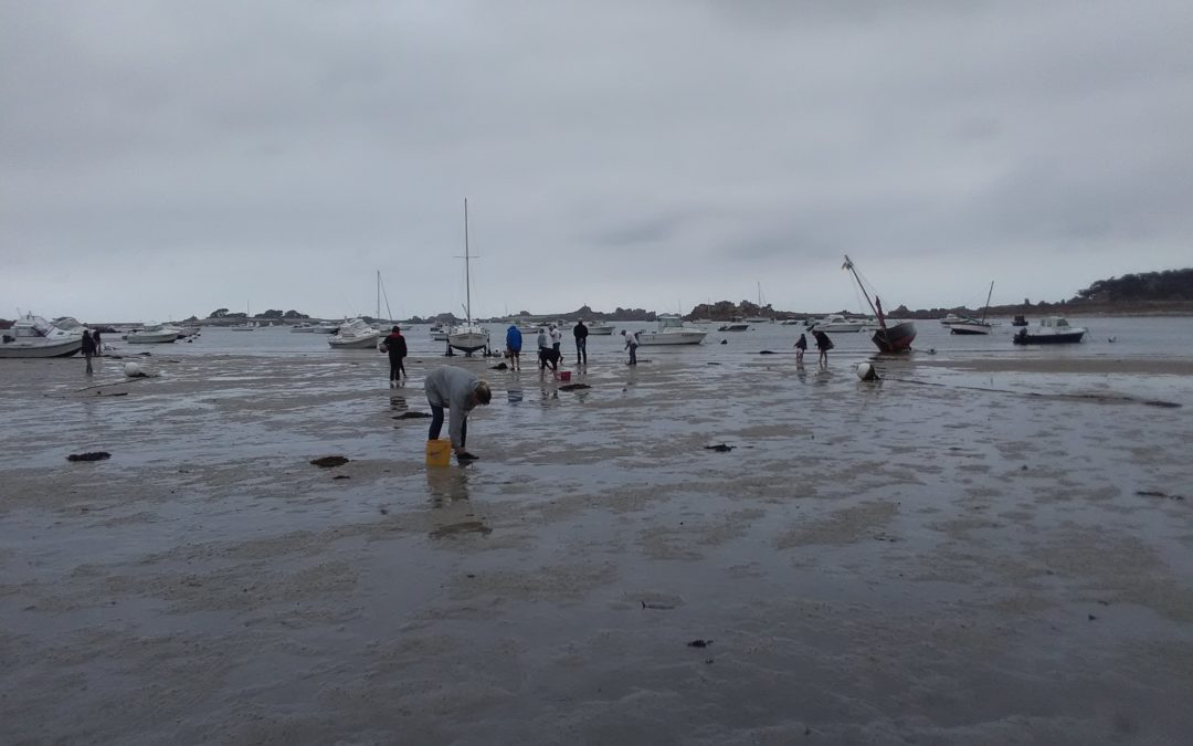 230 pêcheurs à pied sensibilisés lors des grandes marées du 18 au 20 septembre 2020