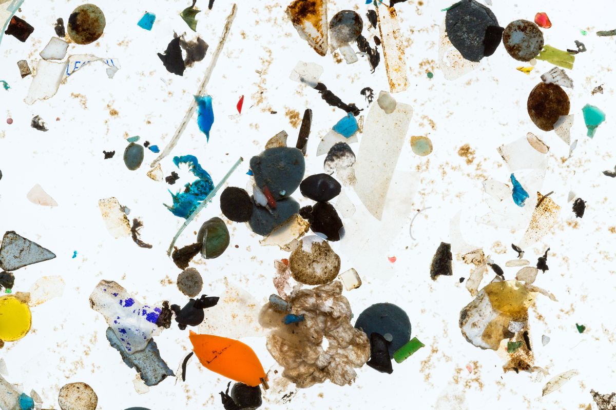 Conférence à Saint-Brieuc "Les microplastiques en baie de Saint-Brieuc"
