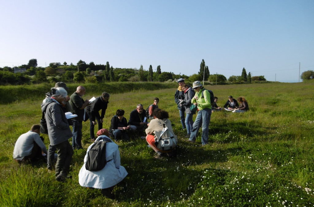 VivArmor Nature, lauréat d’un appel à projets national de mobilisation pour la biodiversité !