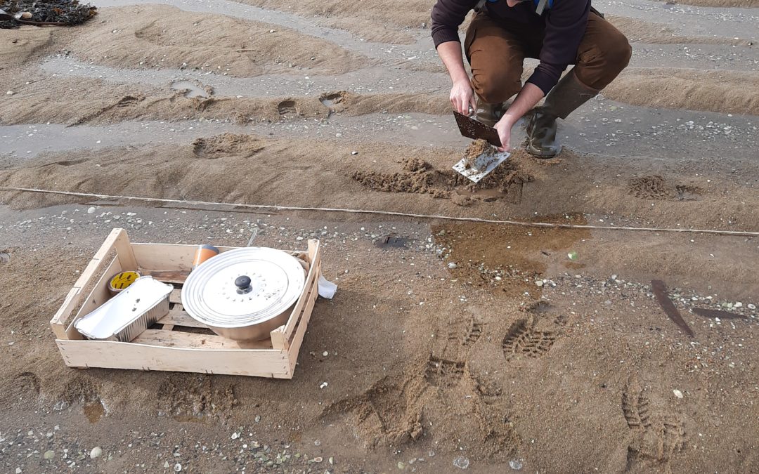 Lancement d’une seconde étude sur les microplastiques en baie de St-Brieuc