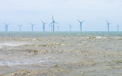 Parc éolien en baie de St-Brieuc : FNE-Bretagne réaffirme la nécessité d’une transition énergétique concertée