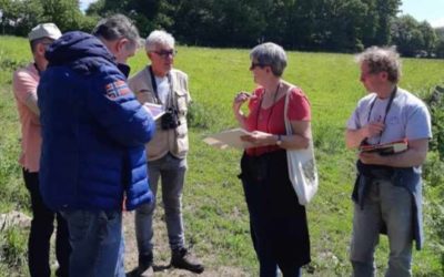 Initiation à la reconnaissance et l’accueil des oiseaux à la ferme