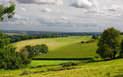 L’environnement, première priorité des bretonnes et bretons : les candidats aux élections régionales sont-ils en accord avec cette priorité ?