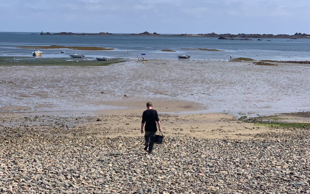 2800 pêcheurs à pied comptés le 23 août 2021 dans les Côtes d’Armor