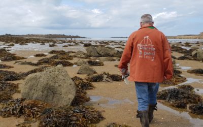 Grandes marées de septembre. 150 pêcheurs à pied sensibilisés