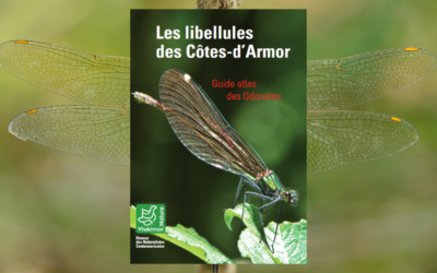 Téléchargez gratuitement le guide-atlas « Les Libellules des Côtes d’Armor »