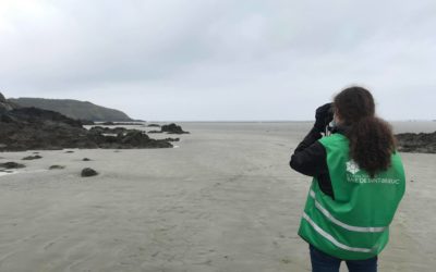 Ambassadeurs de la baie : le bilan de l’été