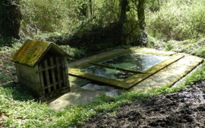 Mobilisation du Réseau des naturalistes costarmoricains pour des inventaires et suivis sur les lavoirs de Plaintel