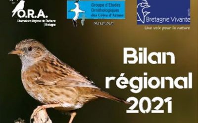 Comptage des oiseaux des jardins 2021 : le bilan régional est disponible