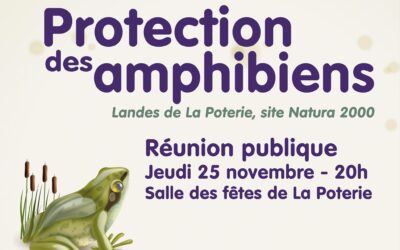 Protection des amphibiens de la Poterie : réunion publique sur la solution d’aménagement