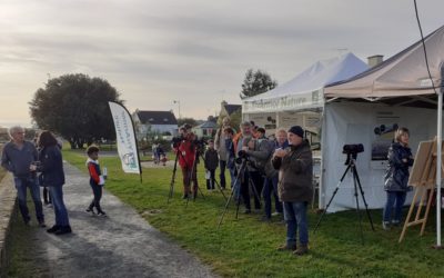 Fête des oiseaux migrateurs 2021 : oiseaux et visiteurs au rendez-vous !