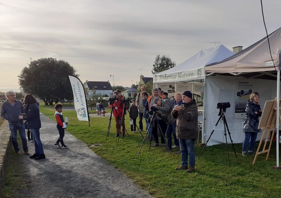 Fête des oiseaux migrateurs 2021 : oiseaux et visiteurs au rendez-vous !