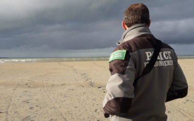Infraction caractérisée dans la réserve naturelle, la nécessaire veille du public