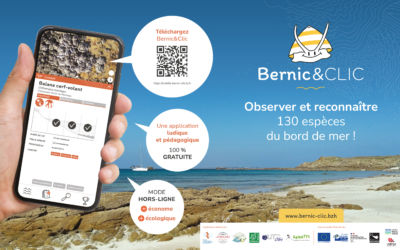 Lancement de l’application Bernic&Clic
