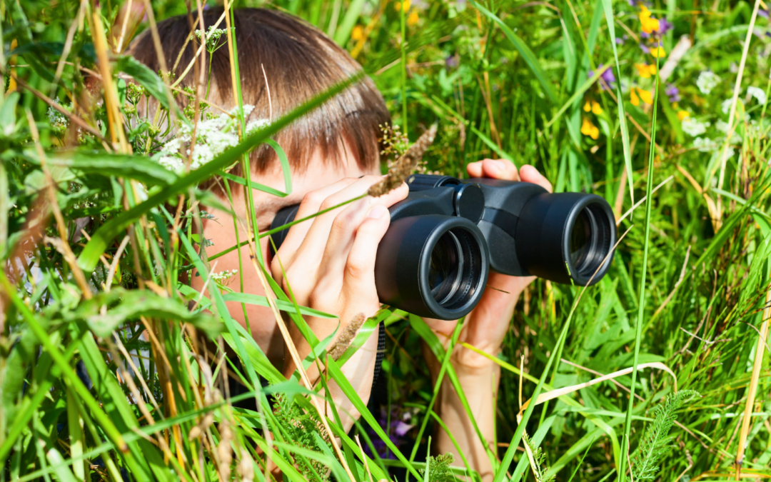 Enquête sur la science participative