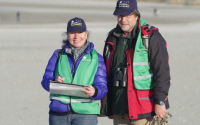 Ambassadeurs de la baie : le bilan des vacances de février