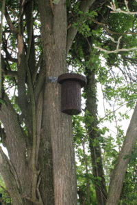 Nichoir connecté