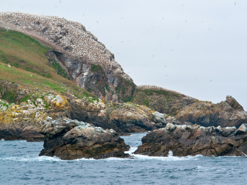 La Réserve naturelle nationale des SeptÎles est officiellement étendue